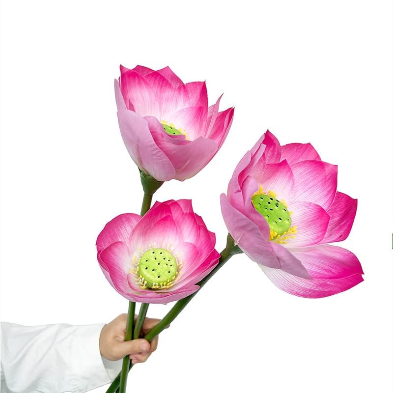 Amazon.com: LNGODEHO Simulation Lotus Lea, Lifelike Water Lily